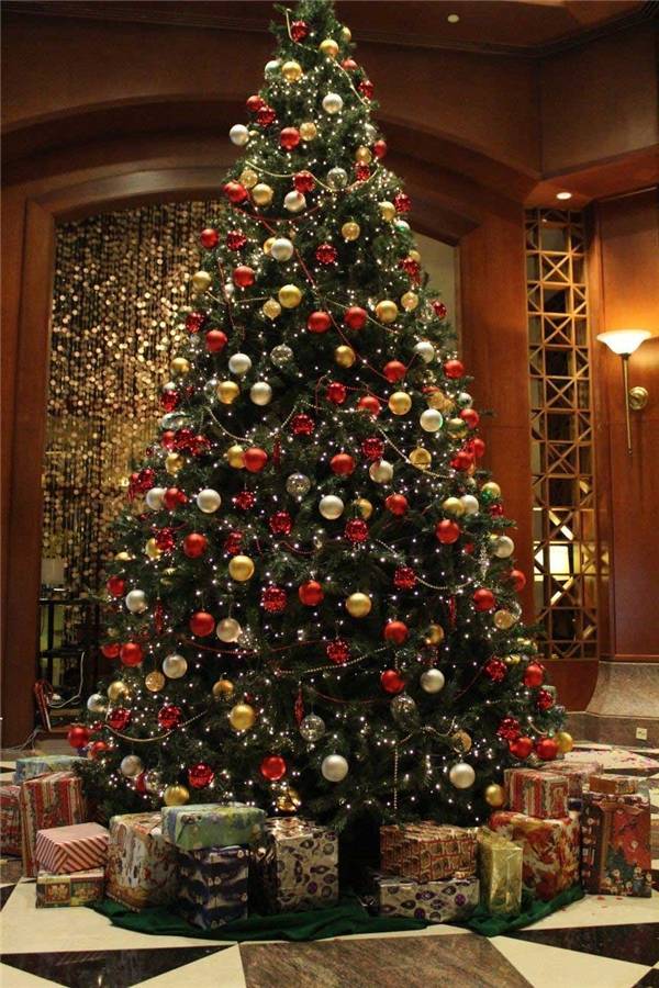 Cho Thuê Cây Thônng Noel Tại Quận 6